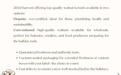 Secure the best walnuts for a successful festive season!