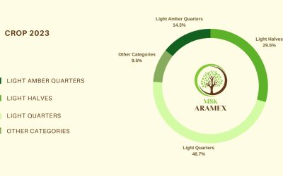 The year 2023 has brought a variety of preferences to the walnut kernel market, and the figures speak for themselves.