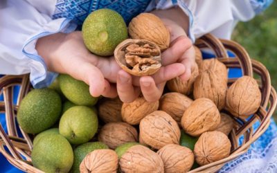 At MSK Aramex, every organic walnut we bring to your table is carefully and respectfully