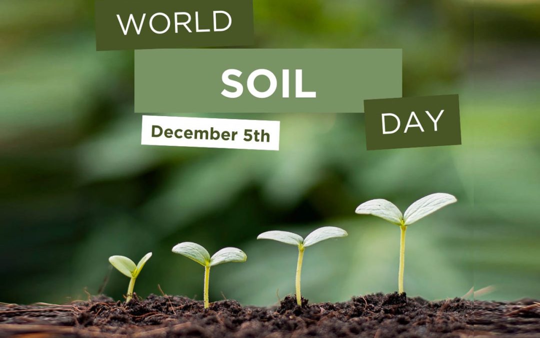 December 5th - World Soil Day