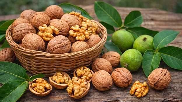 MSK ARAMEX www.mskaramex.com